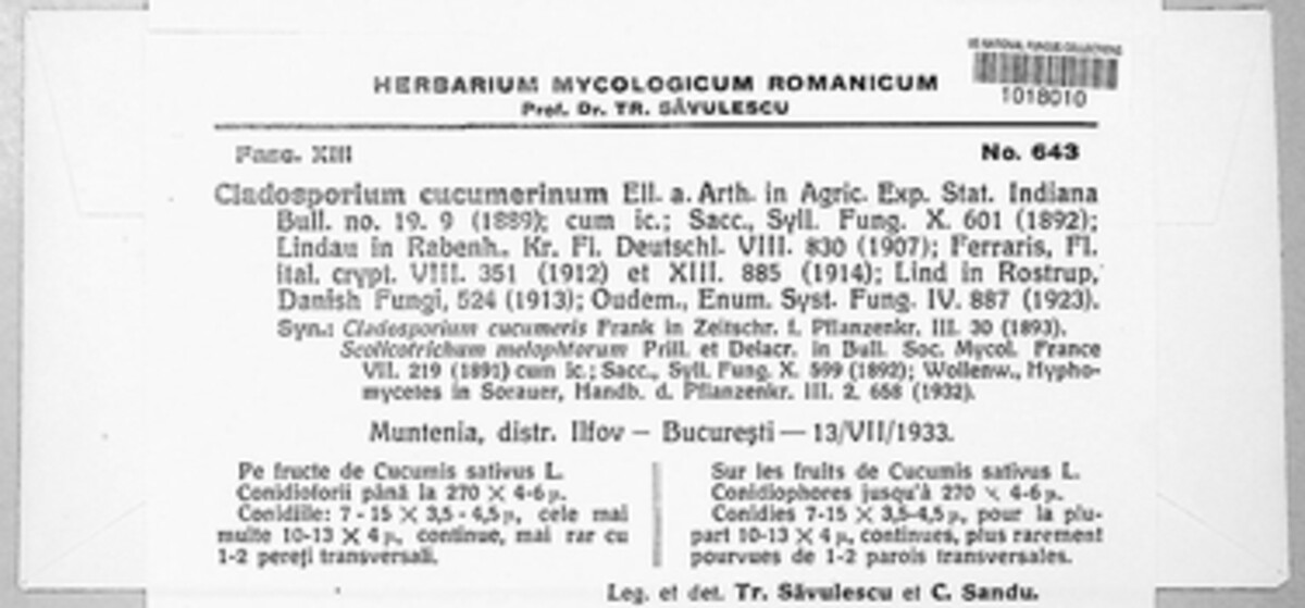 Cladosporium cucumerinum image